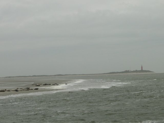 HWK Texel 230.jpg